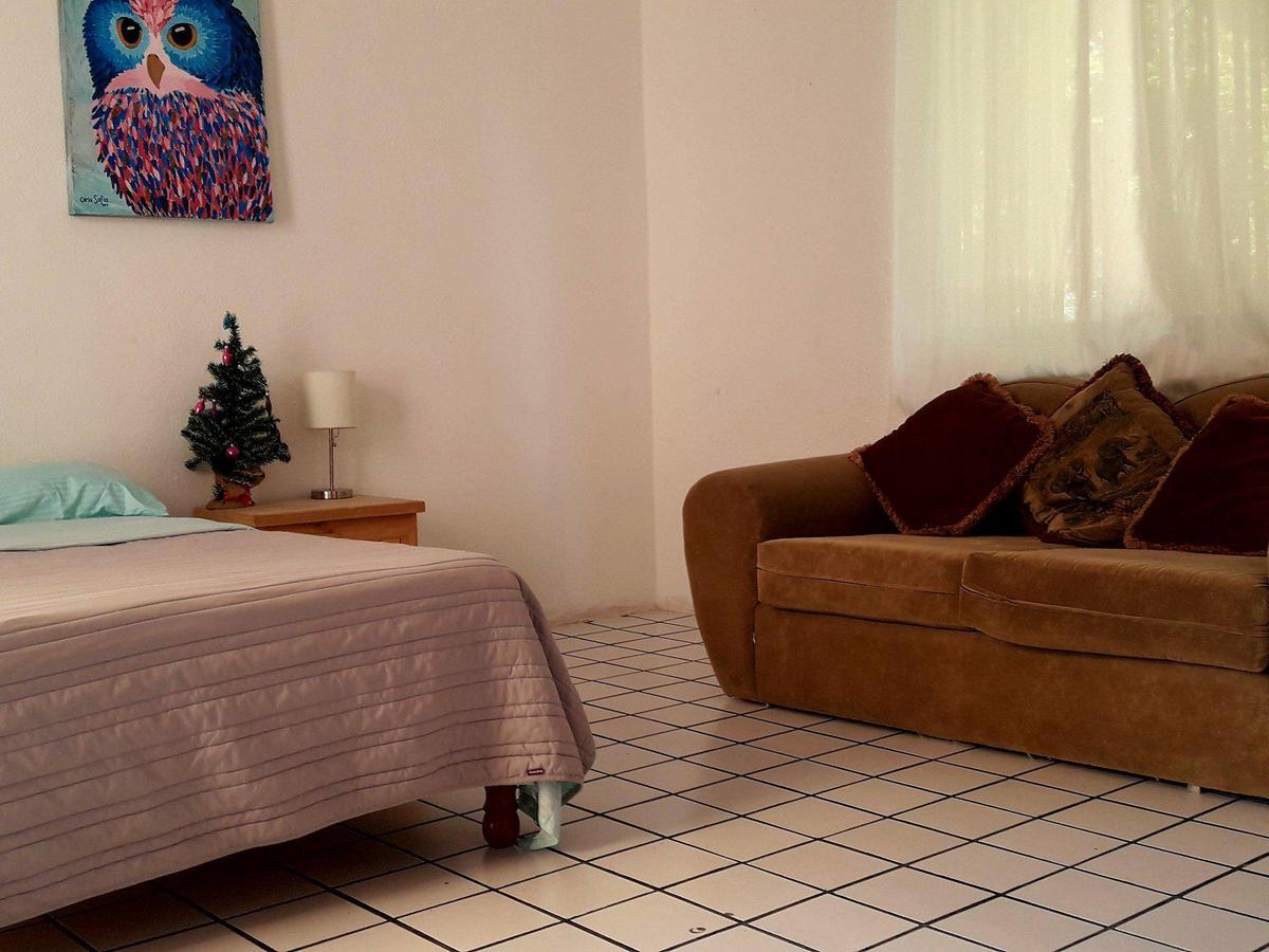 Taiyari Hostal Monterrey Ngoại thất bức ảnh