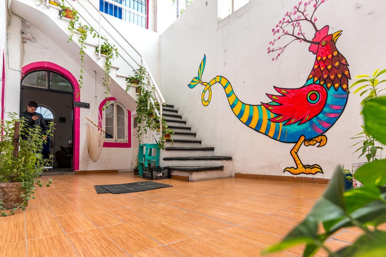 Taiyari Hostal Monterrey Ngoại thất bức ảnh