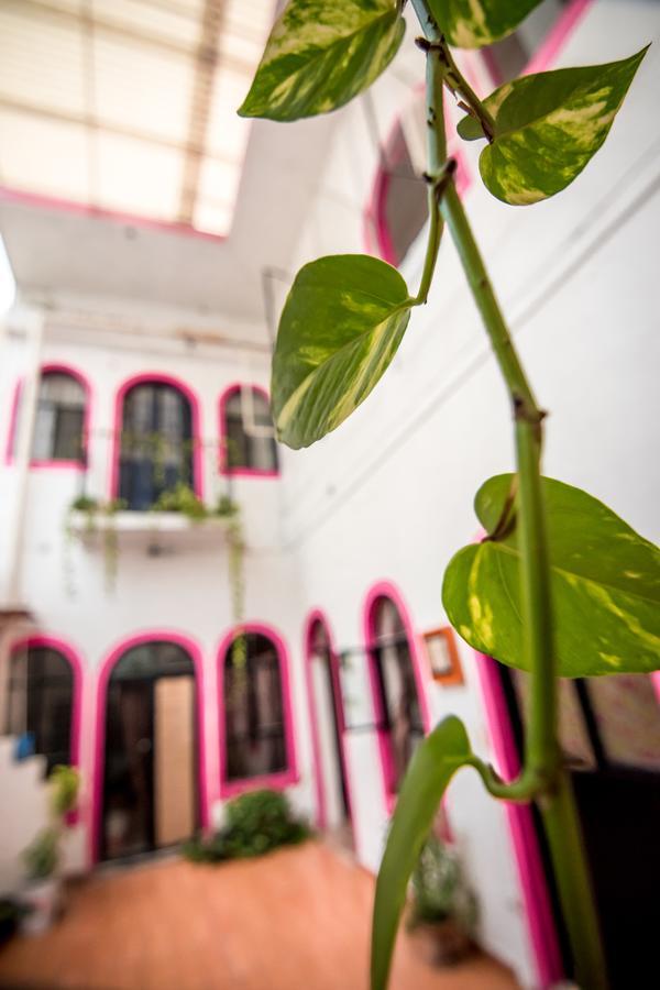 Taiyari Hostal Monterrey Ngoại thất bức ảnh