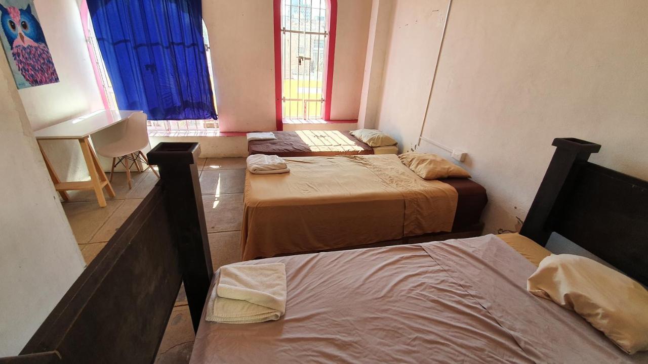 Taiyari Hostal Monterrey Ngoại thất bức ảnh